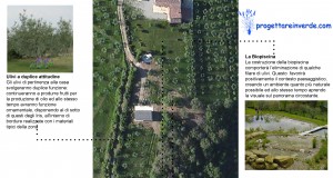 giardino privato con biopiscina e ulivi per olio ed ornamentali con iris