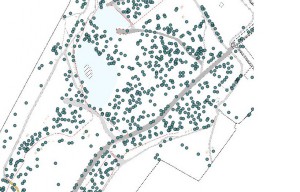 planimetria catasto arboreo con valutazione stabilità alberi