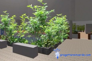 coltivazione in cortile condominio piante ornamentali orto sinergico biologico biodinamico