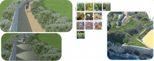 giardino naturale con lavanda corbezzolo elicriso e piante spontanee