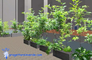 il condominio e la sua area verde con piante ornamentali