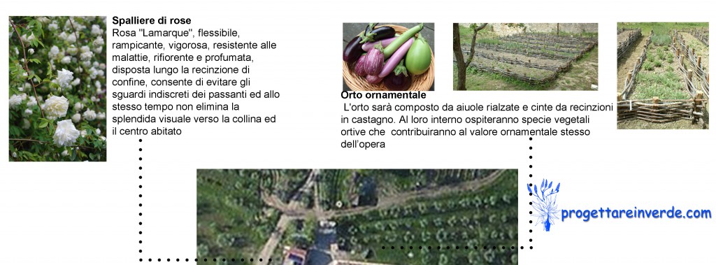 progetto giardino con orto ornamentale e rose a spalliera