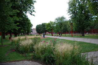 parco urbano con wild flowers