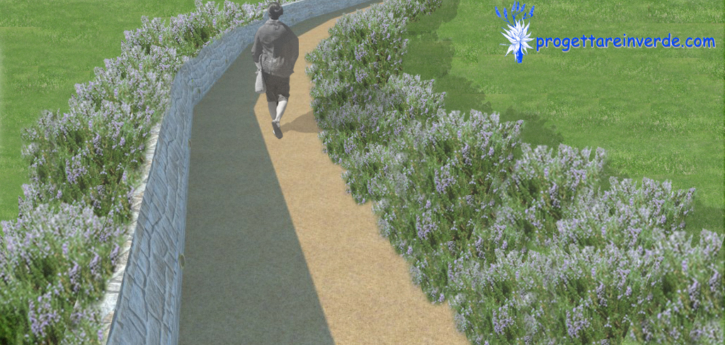 render passeggiata botanica viale con lavanda