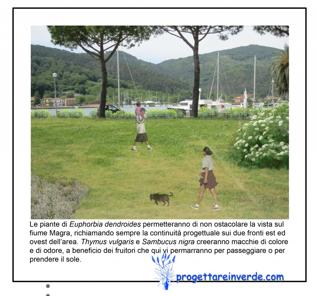 piante ornamentali nel giardino del circolo nautico