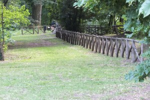 prato staccionata legno