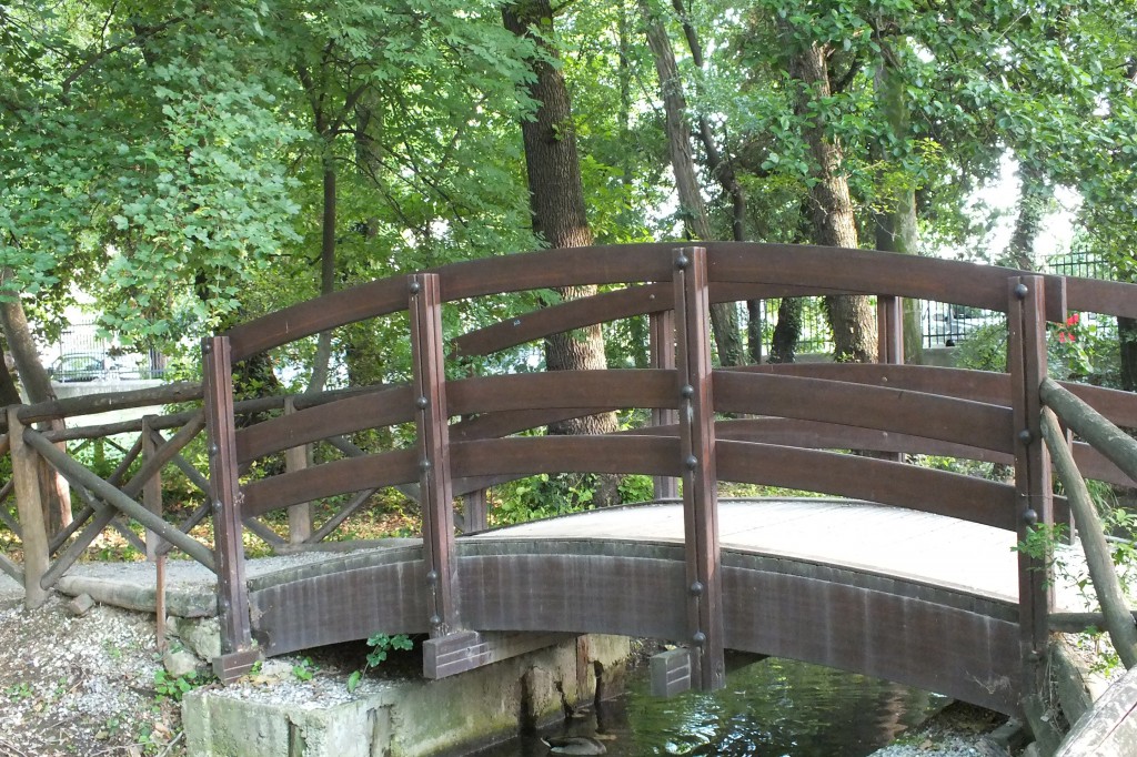 ponte su fiume
