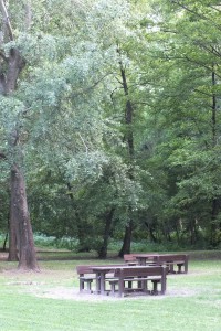 tavoli in legno per pic nic su prato e alberi