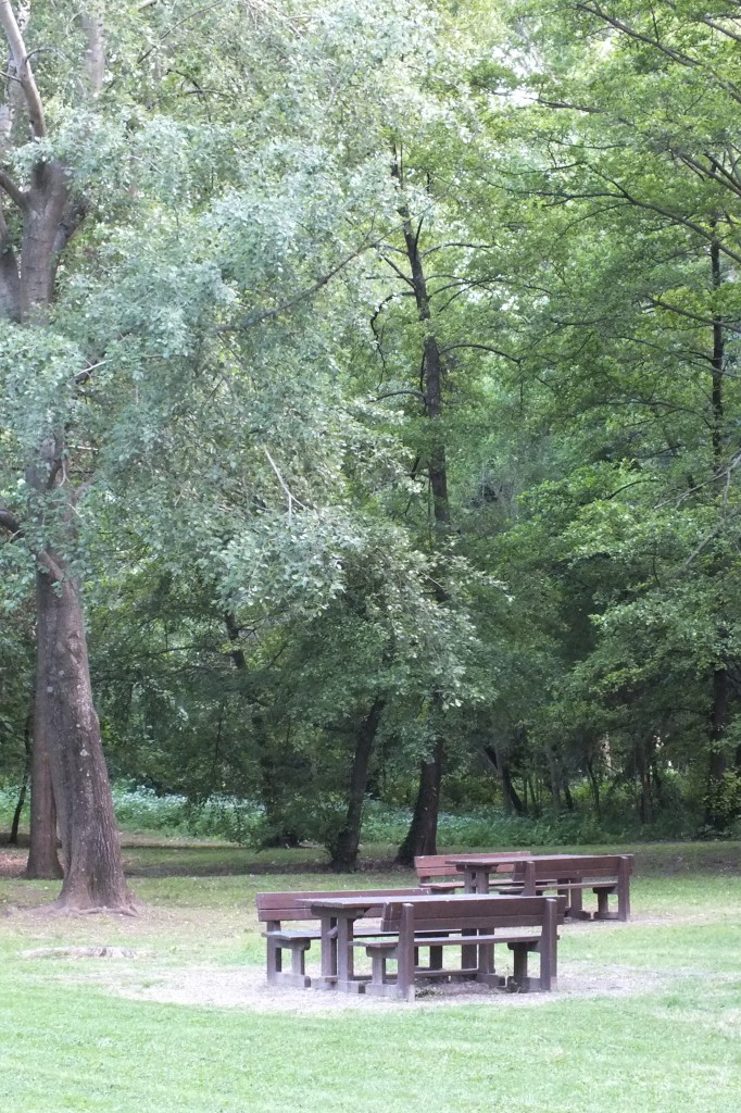 tavoli in legno per pic nic su prato e alberi