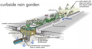 dettaglio rain garden accumulo acqua piovana nel sottosuolo sfruttata dalle piante messe in aiuola