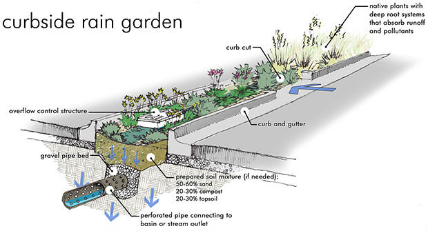 07-Rain-garden-stradale-dettaglio.-By-Eagle-Creek-Watershed-Alliance-USA