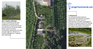 biopiscina ed ulivi per olio e per ornamento con iris
