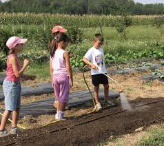 bambini fanno orto biologico