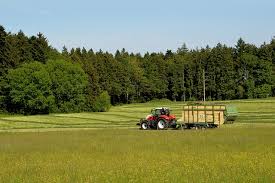 Agevolazioni per l’insediamento di giovani in agricoltura