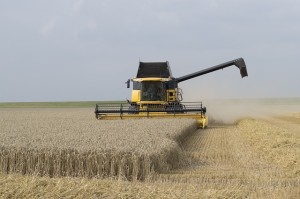 harvest-time-595447_640