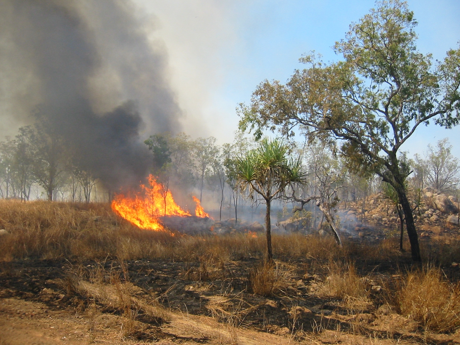 Prevenzione incendi e pulizia fondi incolti