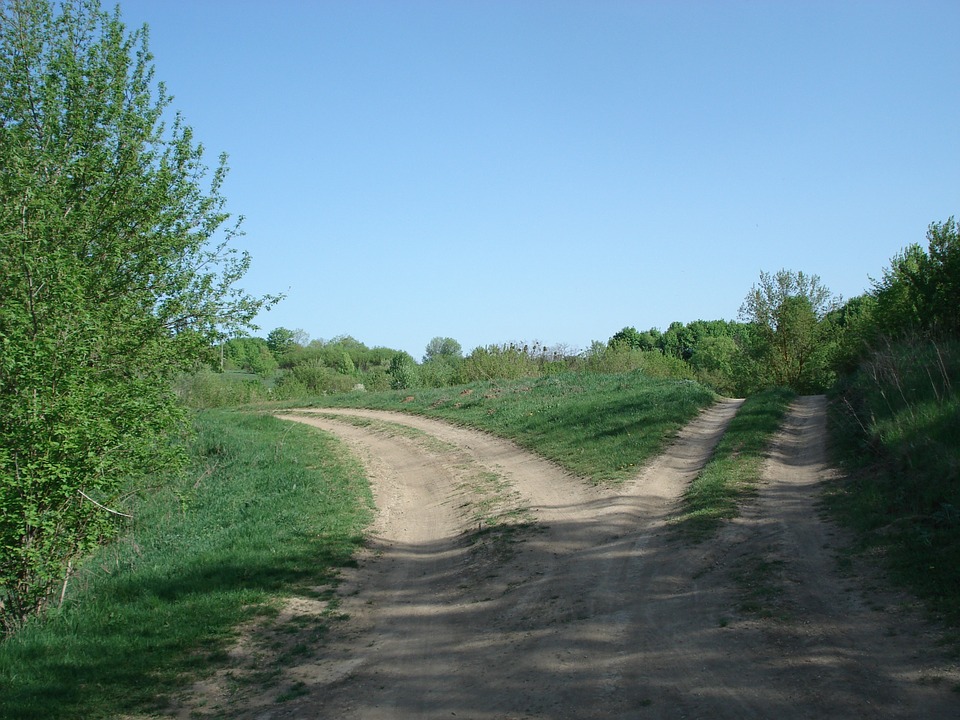 Bando per miglioramento della viabilità interaziendale e strade rurali per l’accesso ai terreni agricoli e forestali