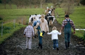 agricoltori campagna vacche bambini