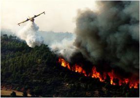 Sostegno alla prevenzione dei danni arrecati alle foreste da incendi, calamità naturali ed eventi catastrofici