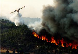 fuoco foresta fumo canadair