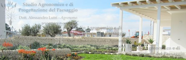 Incarico di progettazione e direzione lavori per la realizzazione di un giardino in ambiente mediterraneo per casa vacanze in località San Lorenzo, Noto (SR)