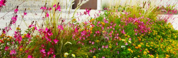 Aiuole ornamentali per parcheggio case vacanze