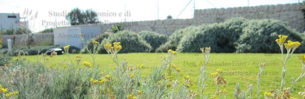 Progettazione e direzione lavori per il giardino di una villa presente all’interno di un complesso di case vacanze sul mare, località San Lorenzo – Noto (Siracusa)