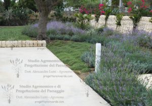 giardino parcheggio macchina olivo erbe aromatiche