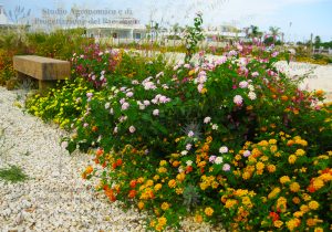 parcheggio panchina fiori rossi rosa bianchi