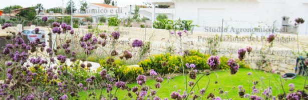 Progettazione e direzione lavori per il giardino di una villetta presente all’interno di un complesso di case vacanze sul mare, località San Lorenzo – Noto (Siracusa)