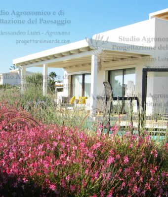piscina colori fiori sedie tavolo