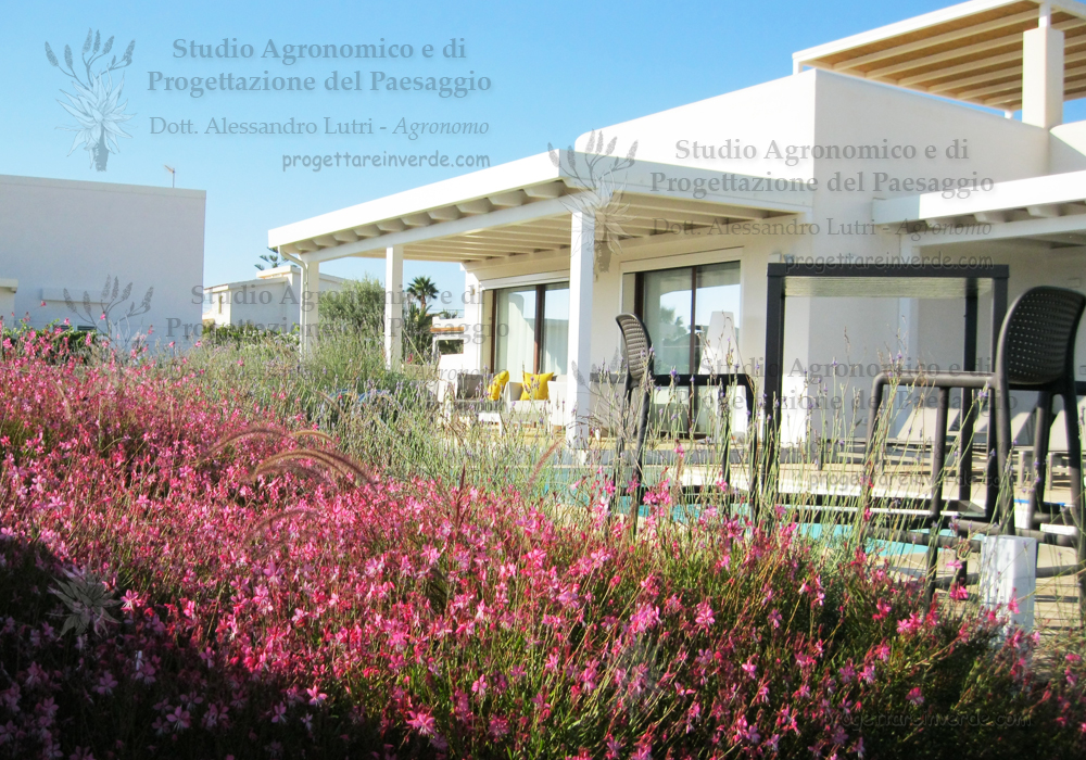 progettazione-giardini-siracusa-sicilia-villa