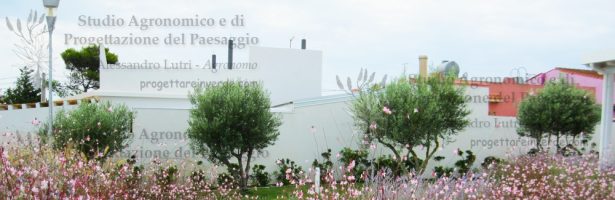 Progettazione e direzione lavori per il giardino di piante erbacee perenni di una villa presente all’interno di un complesso di case vacanze sul mare, località San Lorenzo – Noto (Siracusa)