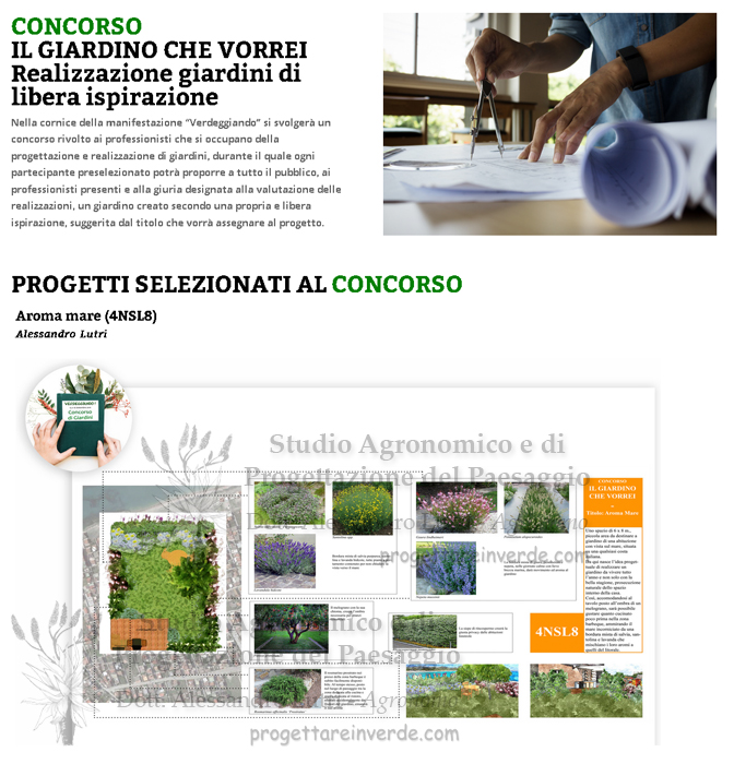 progetto-giardino-concorso