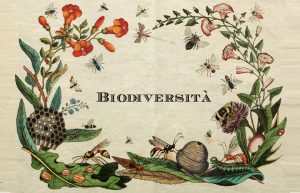 bando conservazione biodiversità