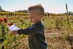 bambino agricoltura