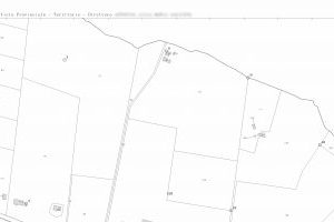 Estratto di mappa catastale