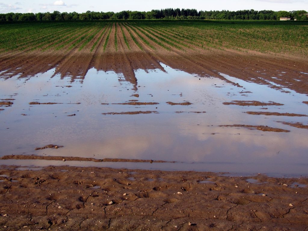 pioggioa terreno allagato