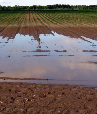 pioggioa terreno allagato