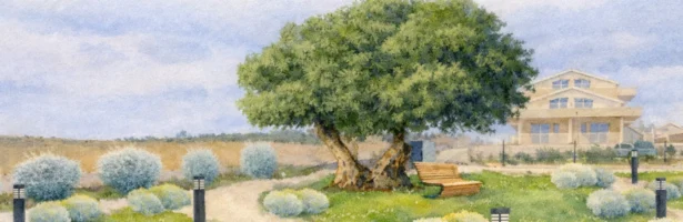 Concept Parco Mediterraneo – Marzamemi: visione per uno spazio verde residenziale