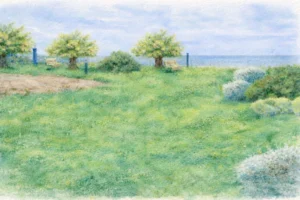 Schizzo ad acquerello per la progettazione di un parco condominiale a Marzamemi con essenze mediterranee